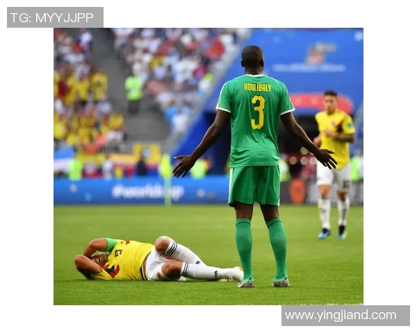 塞内加尔足球队的超级球星们如何在国际赛场上书写传奇故事